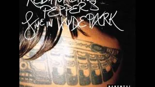 Red Hot Chili Peppers live at Hyde Park 2004 - Leverage of Space