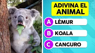 Adivina el Animal Correcto | Test de 50 + 1 Animales 🐷