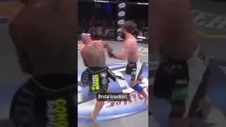 Brutal knockout from the Doug Marshall vs Brett Cooper fight on Belabor #mma #brutal #punch #ufc