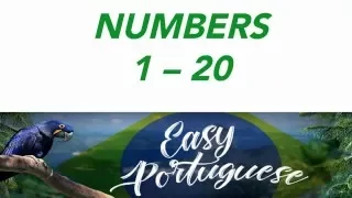 Numbers 1 to 20 in Portuguese