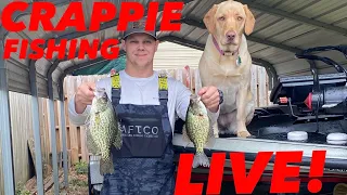 Catching CRAPPIE on my LOCAL RIVER!! #crappie #fishing #river #crappiefishing #riverfishing