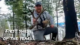 2024 Shed Hunting | Scouting + First Shed of The  Year | Episode 1