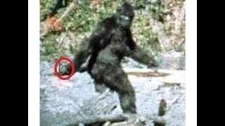 "Finding Bigfoot" James "Bobo" Fay talks Bigfoot's Favorite Foods