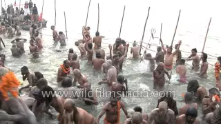 Naga Sadhus cluster for Shahi Snan at Triveni Sangam : Kumbh Mela