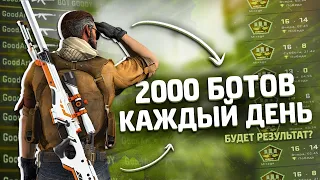 ЧТО БУДЕТ ЕСЛИ УБИВАТЬ ПО 2000 БОТОВ НЕДЕЛЮ // БУДЕТ ЛИ РАЗНИЦА ПОСЛЕ 14 000 УБИТЫХ БОТОВ