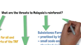 GCSE - Malaysia Rainforest