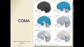 Semiologia Neurológica - Exame da Consciência
