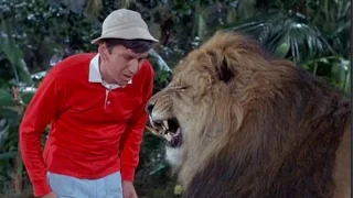 Gilligan's Island - Animal Friends