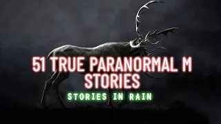 51 True Paranormal M Stories | 04 Hours 07 Mins | Stories in Rain