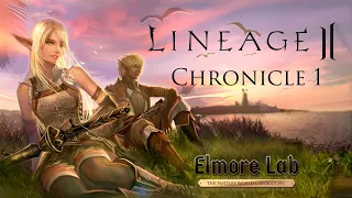 Lineage 2. Information on C1. Interview with administrator Master Toma