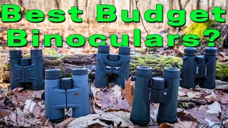 Best Budget Binoculars for Hunting
