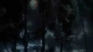 Werewolves - Full Moon