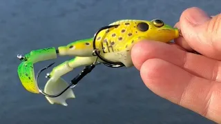 Lunkerhunt Prop Frog Review on the Pond