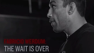 UFC 188: Fabricio Werdum - The Wait is Over