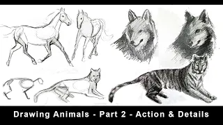 Drawing Animals for Beginners - Part 2 - Action, Foreshortening & Details