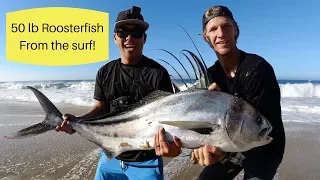 Huge Roosterfish Surf Fishing in Cabo