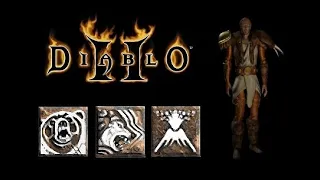 Project Diablo 2 HC Druid guide - from zero to hero