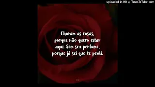 Choram as rosas na minha voz. Se inscreva no canal!