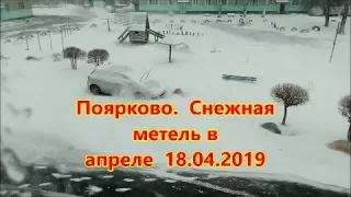 Поярково   Снежная метель в апреле  18 04 2019