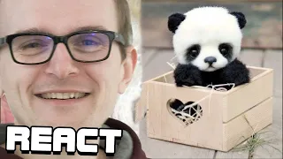 React: Animals SOO Cute! Cute baby animals Videos Compilation cutest moment of the animals #4