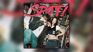 ZICO, JENNIE - SPOT! (Acapella)