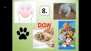 Second Grade Journeys' Lesson 25- AW, AL, O- SPELLING WORDS for the text, From Seed to Plant