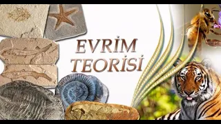 İnsanın Evrimi Belgeseli - Türkçe Dublaj - Belgesel Burada #evrim #darwin