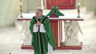 Father Mark Beard's Homily (Internally Strong), The 7th Sunday of Ordinary Time, February 19th, 2023