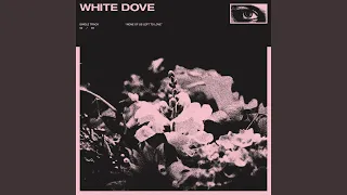 white dove