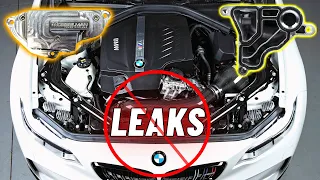 FIX this Common BMW Oil Leak