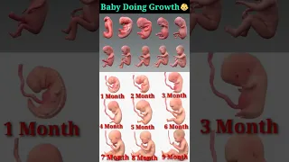 Embryo and Fetal Development In Mother's Womb 👶 ❤ Fetus Growing in Moms Tummy 👶 ❤ Baby In Moms Belly