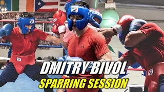 Dmitry Bivol Sparring Session