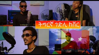 New Tigrigna Gedli Cover Music - ኲናት ዝሃሰያ  Bini boss |Abrihimo wedi dejat |Danayt alemseged | T TAP