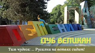 Симферополь  Детский парк  Дуб   Великан