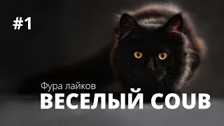 COUB | ВЕСЕЛЫЙ COUB #1 | BEST CUBE | #ФУРАЮМОРА | #ФУРАЛАЙКОВ | КУБ ЖИВОТНЫЕ | COUB PETS