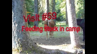 How we feed our mules and horses in the back country!