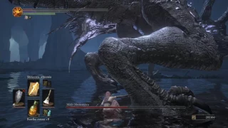 DARK SOULS™ III Midir vs Sunlight Spear