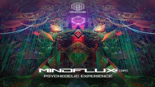 Mindflux - psychedelic experience (original mix)