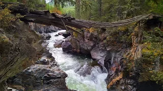 Mountain Altai: Auto trip to the upper Chulyshman area