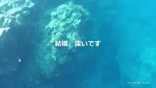 一人でシュノーケル＆素潜り　石垣御神崎灯台手前の浜（屋良部の浜？）　ウミヘビに何度も遭遇しました！