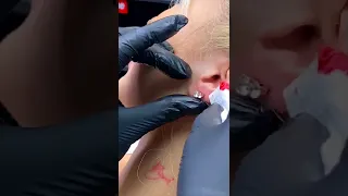 Professional Piercer Does Ear Flat and Ear Lobe Piercing - BodyJewelry.com