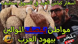 اسعار كباش العيد من سوق سطيف مواطن يقصف المواليد ب يهود العرب