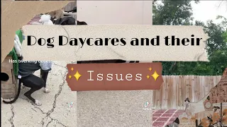 Dog Daycares and their ✨issues✨||READ DESCRIPTION