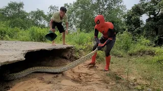 KING PYTHON90 | Spider-Man And Huggy Confront Giant Python To Save Young Man, King Cobra