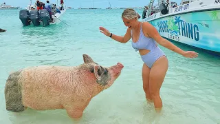 Bahamas Famous SWIMMING PIGS & Compass Cay SHARKS!