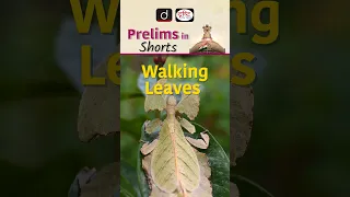 Walking Leaves | UPSC Prelims 2024 | Drishti IAS English