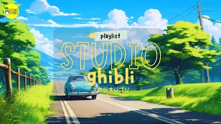 [2 HOUR] Greatest Studio Ghibli Soundtracks | Best Anime Songs 🍒🍒 Totoro | relax, study, sleep