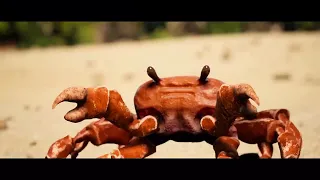 Crab Rave Reversed