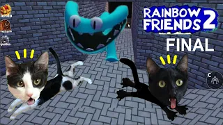 El final de Rainbow Friends Chapter 2 vs jugando gatitos Luna y Estrella Videos de gatos en español