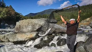 Work to remove 4 dams along Klamath River begins, restoring salmon run